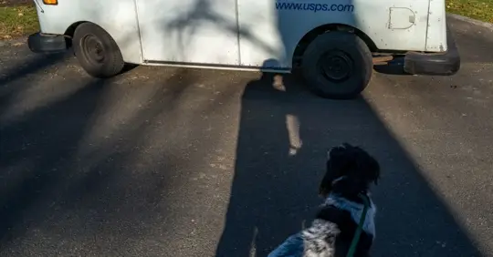 Un repartidor acercándose a una casa, ilustrando el riesgo de mordedura de perro para los trabajadores en Georgia