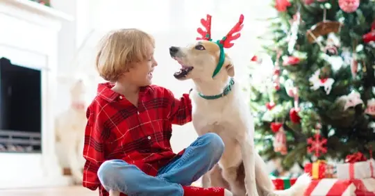Un niño acercándose con cuidado a un perro, ilustrando la seguridad ante mordeduras para niños en Georgia